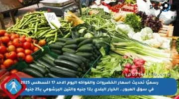 رسميًا تحديث أسعار الخضروات والفواكه اليوم الأحد 17 أغسطس 2025 في سوق العبور.. الخيار البلدي بـ12 جنيه والتين البرشومي بـ25 جنيه